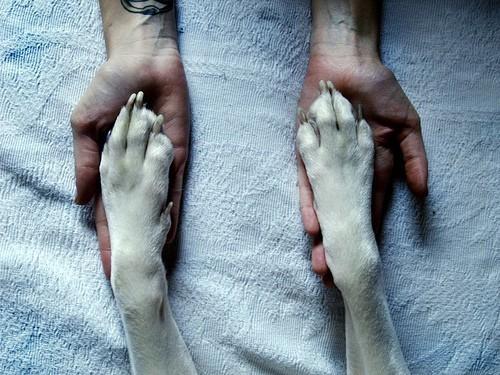 DEDICADO A LUCAS Y A MINO