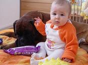 niños crecen perros sanos