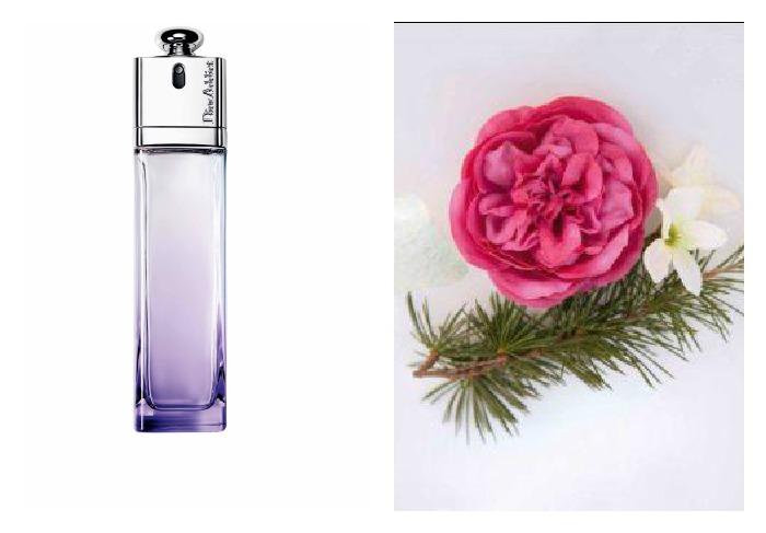 Dior Addict Fragances