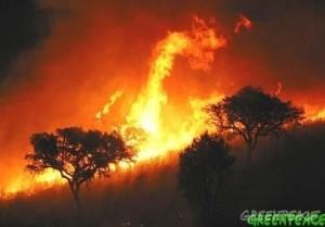 Malas decisiones políticas nos ahogan en humo y ceniza