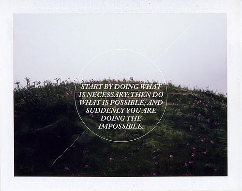 ANIMALES DE INTERIOR