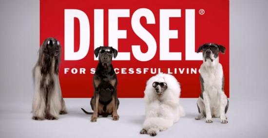 Diesel cambia a los modelos por perros en su última campaña