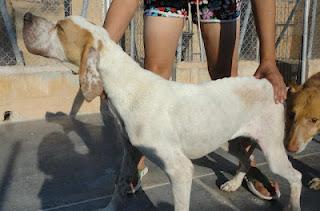 Alana recogida en el límite de sus fuerzas