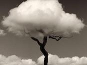 nubes
