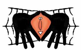 De qué hablamos cuando decimos “matria”.