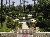 Nyra Historias: Destinos Reencarnados