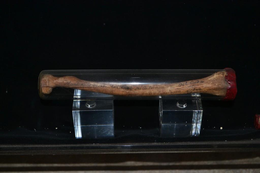 Hueso del Cid. ¿Será real?