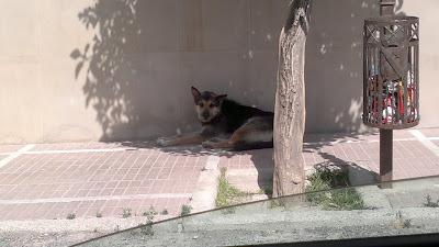 JOB,SIGUE EN LA CALLE. JÓDAR (JAÉN)‏
