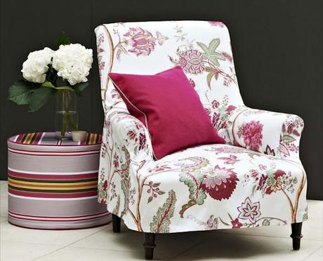 Lección de Botánica