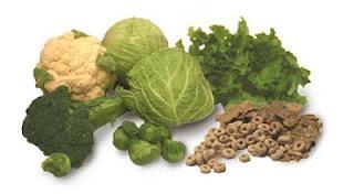 La Vitamina E, antioxidante para evitar el envejecimiento