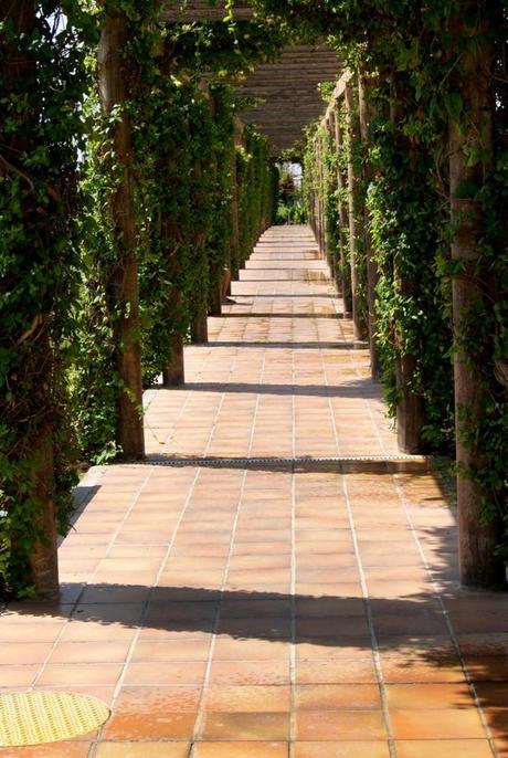 Printed pants & Fluor