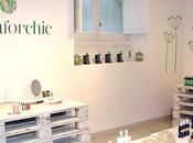 Greenforchic, espacio cosmética natural