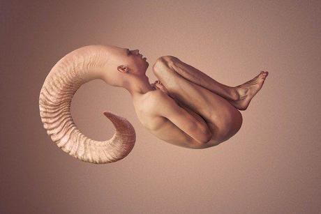 Human Metamorphosis - Jonathan Ducruix