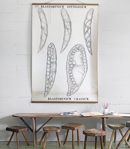 Minimalismo (muy) moderado