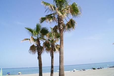 Bikini's Mix Bikini's Mix