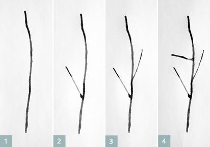 Diy: Crea tu propio cuadro, inspirado en la naturaleza, con una pajita y acuarela