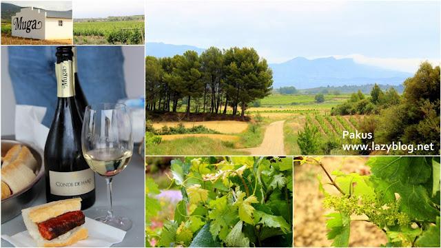 Visita a Bodegas Muga en Haro