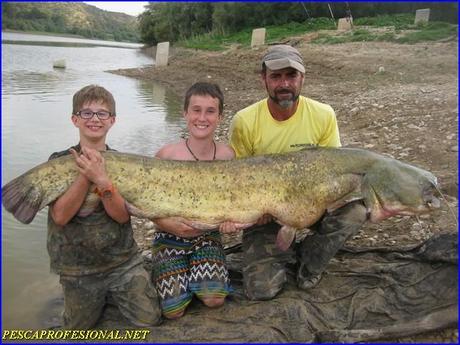 GUIAS DE PESCA DEL SILURO PESCA DE SILUROS AL PELLETS