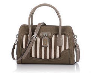 Bolso guess