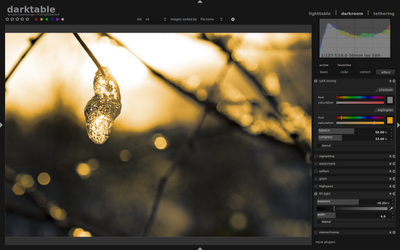 Darktable 1.0.4