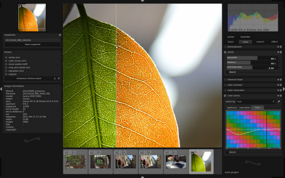 Darktable 1.0.4