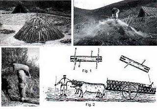 PRIMER PREMIO DE RELATOS DE HISTORIA DE TARIFA Y SU CAMPIÑA. MODALIDAD SECUNDARIA
