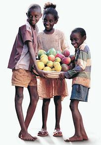 Dejar de Comer por Treinta Horas