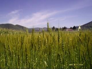 Tercera parte, Todos Somos Pachamama