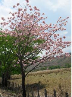 Segunda parte, Armonia y Equilibrio