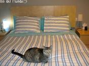 Cabecero mesas lack Michis