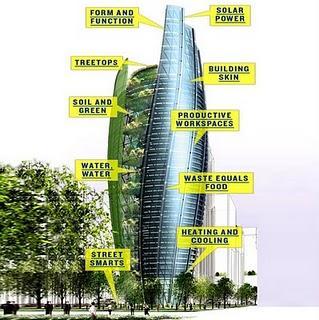 CIUDADES COMPORTÁNDOSE COMO BOSQUES CIUDADES COMPORTÁNDOSE COMO BOSQUES