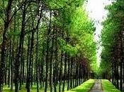 tiene rumbo vida, tengo