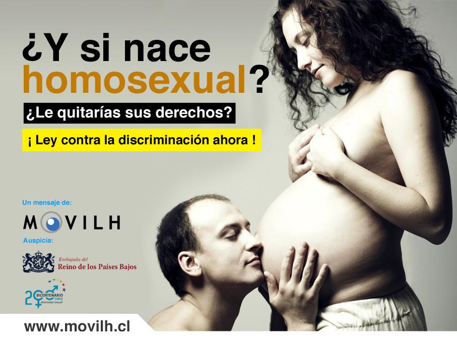 En Chile Movilh lanza inédita campaña: gigantografías sobre minorías sexuales en calles simbólicas y buses