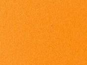 tamaño sorprende científicos