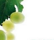Caudalie