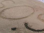 sangrado nariz 'epistaxis'