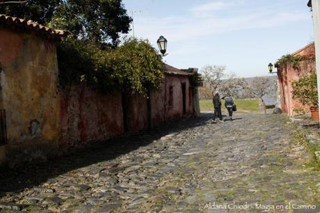 Colonia: un lugar al que volvería mil veces