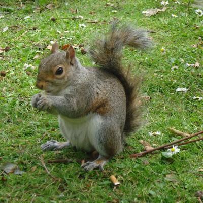 Un lugar al que regresar