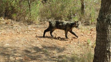 On my return ..... On my return .....