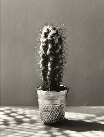 Poesia Visual: Chema Madoz