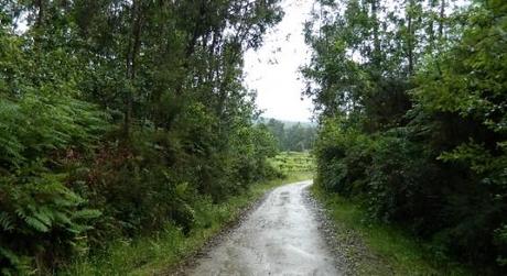 caminando bajo la lluvia