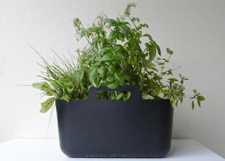 Ikea-Hack: El escurreplatos boholmen como maceta para plantas aromáticas