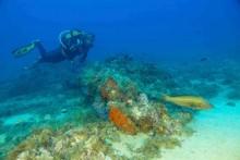 Senderismo bajo el mar