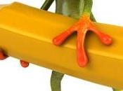 Coach: pasos para asegurarte Coach está currando