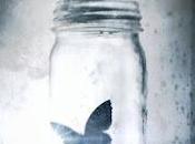 Motivos Recurrentes Mariposas