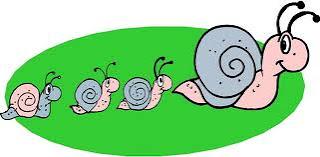 Inteligencia & Big five caracoliano