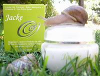 Inteligencia & Big five caracoliano