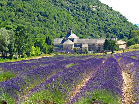 Con aromas de lavanda en la Provenza