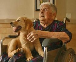 Los perros podrían aliviar la ansiedad antes de una resonancia magnética