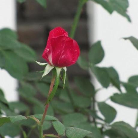 La política K en la Ciudad macrista (algunos comentarios para continuar reflexionando)